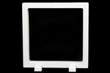 5.5" (Large+) Floating Frame Display Cases With Stands - White - Photo 5
